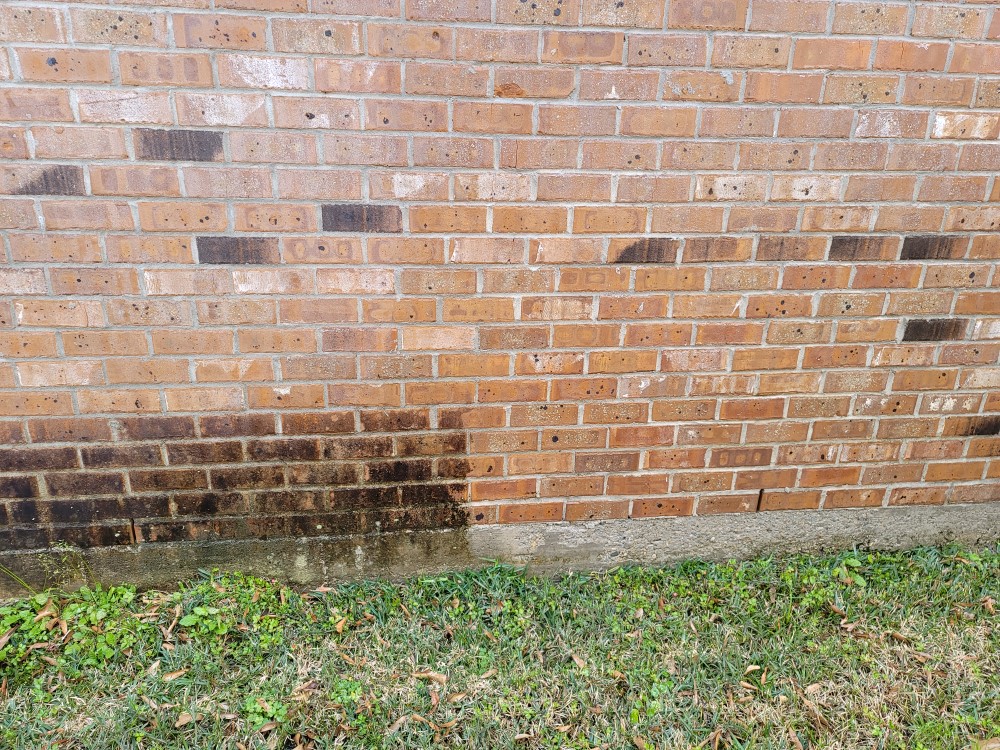 Roof washing in lumberton tx